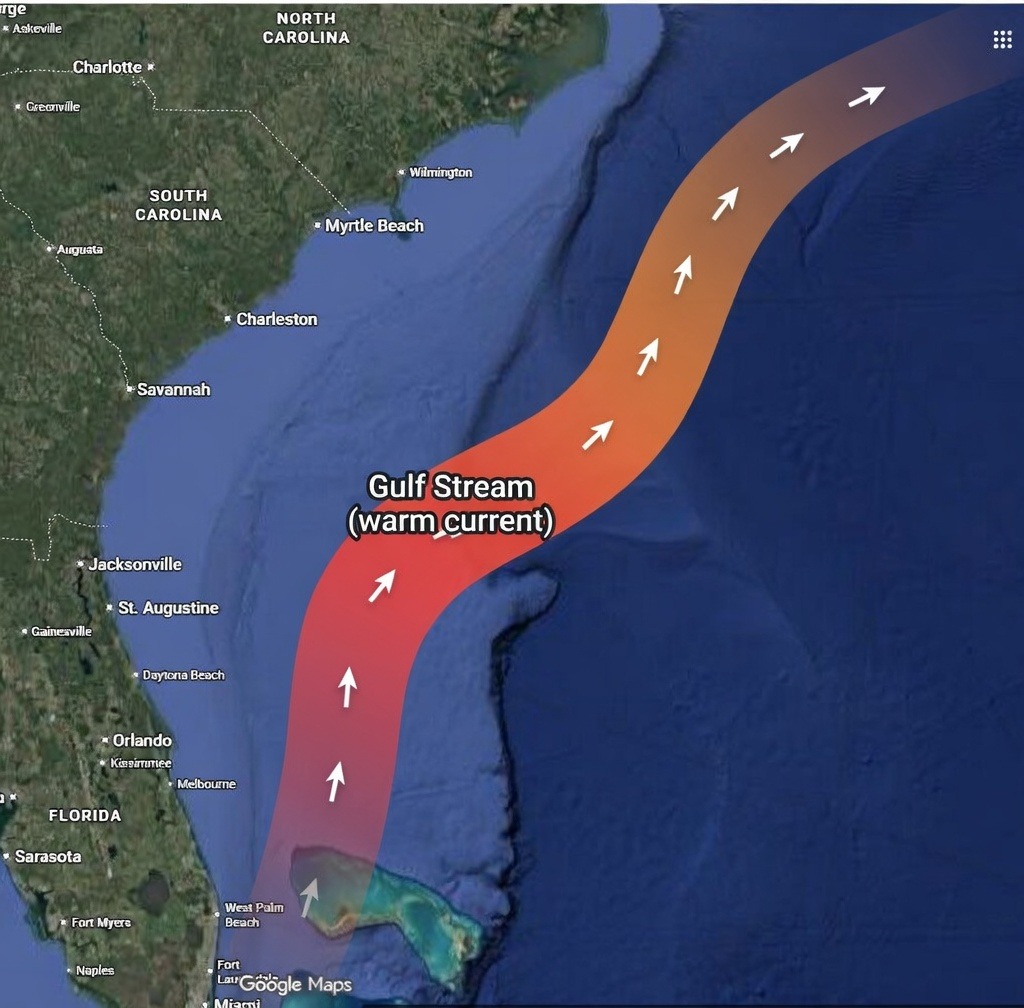 Map Showing Jacksonville, the water depth and the gulf stream.